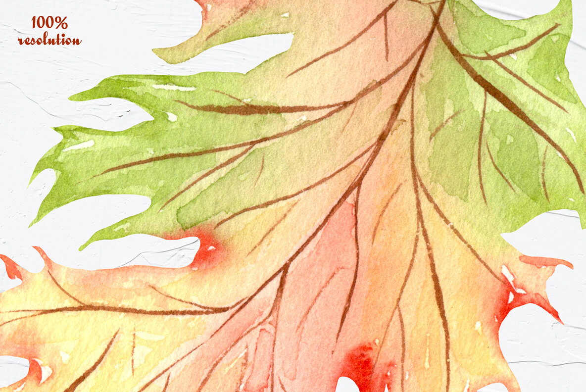 Autumn Garden Watercolor Collection 14