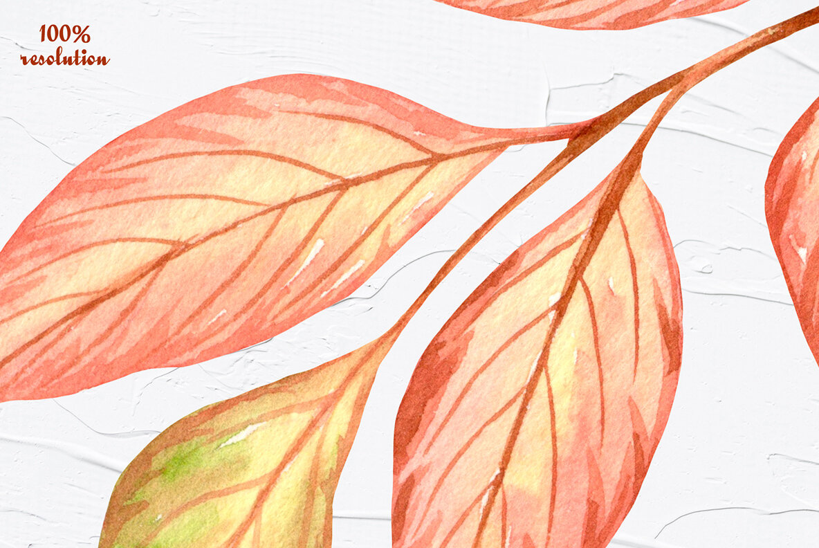 Autumn Garden Watercolor Collection 15