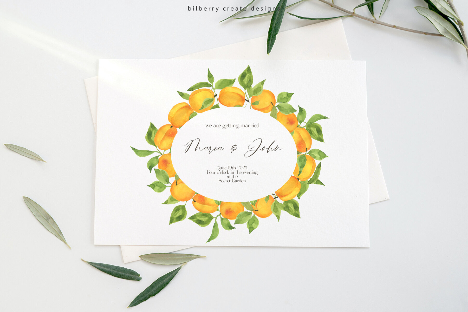 Watercolor Apricot Art Set 2