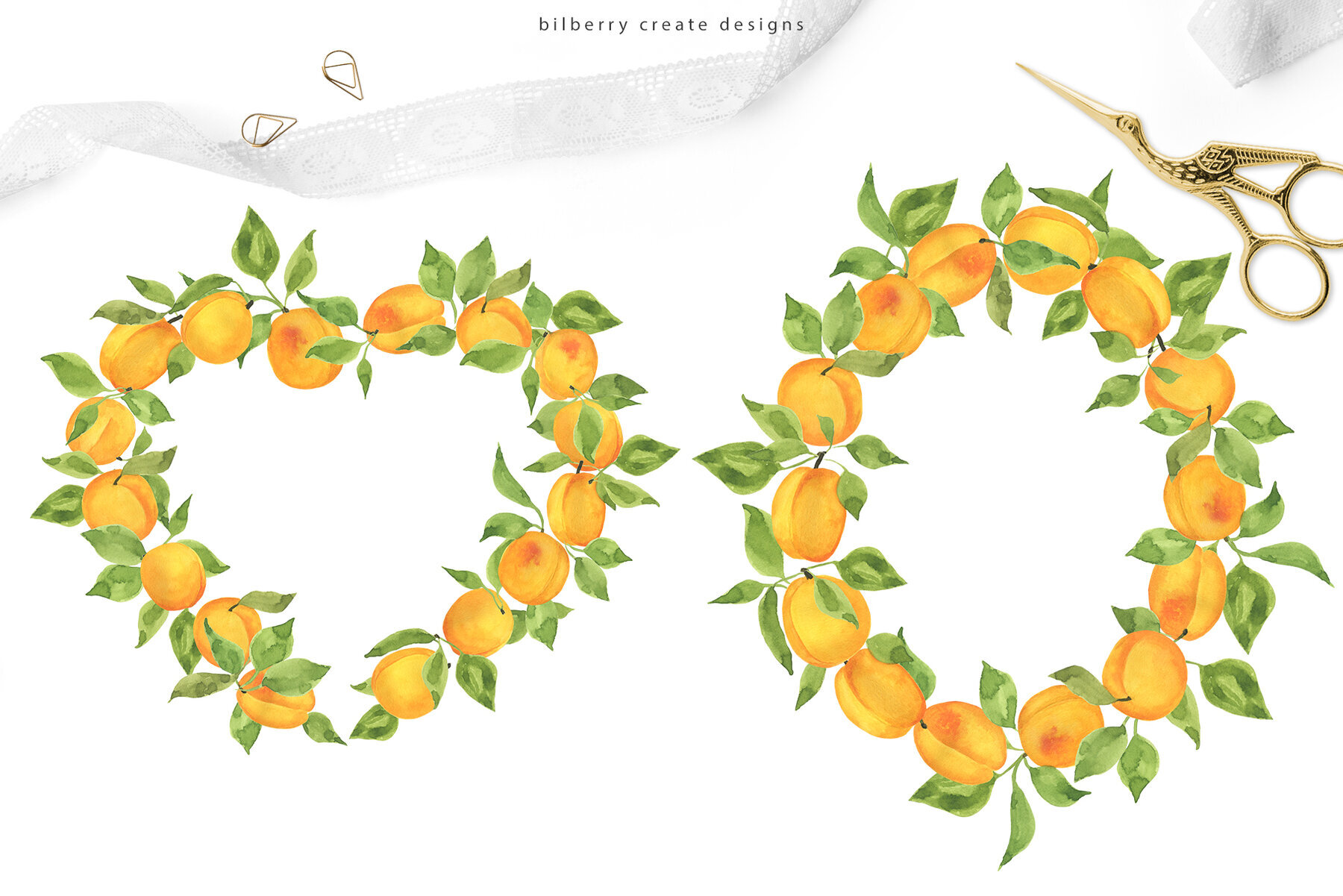 Watercolor Apricot Art Set 5