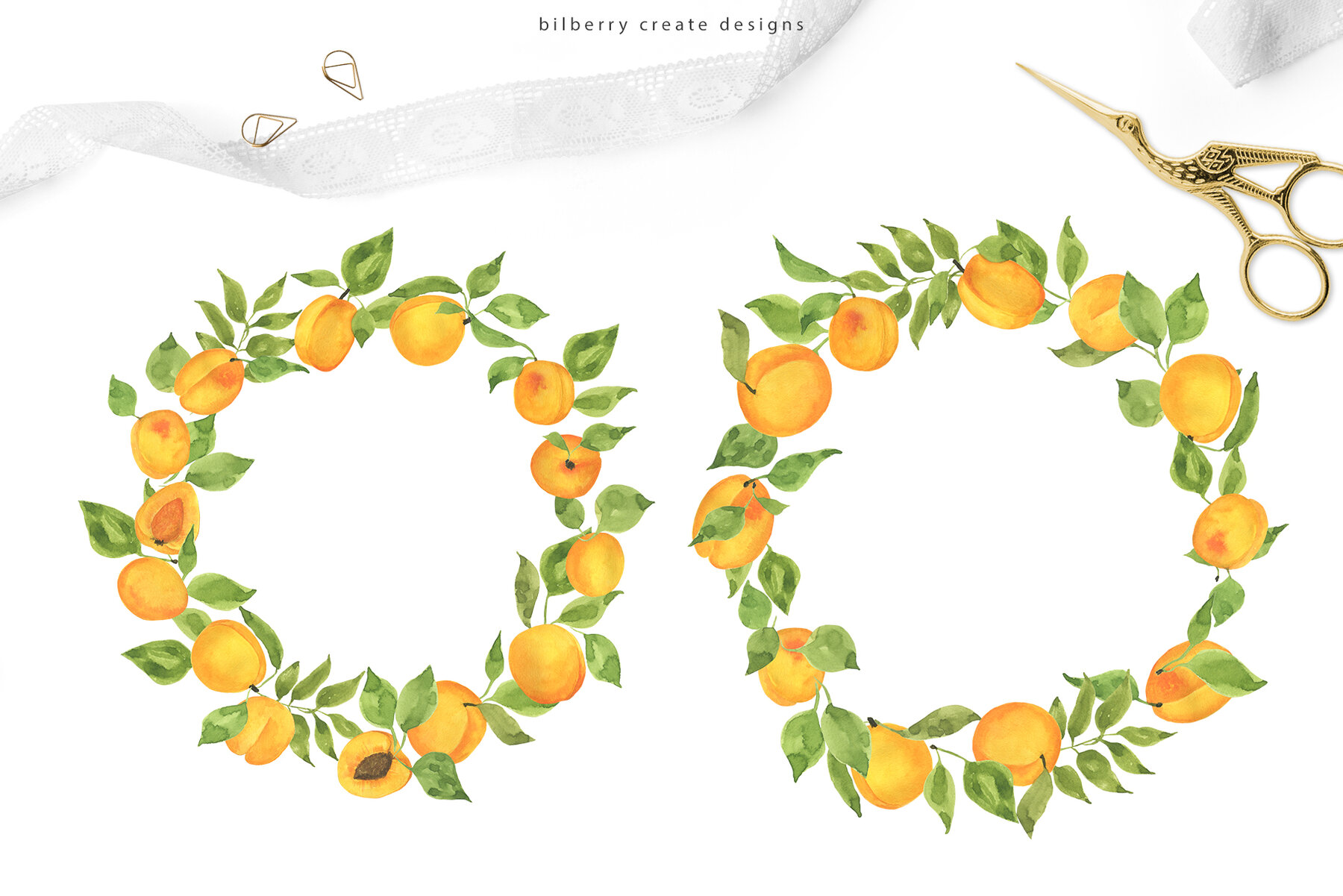 Watercolor Apricot Art Set 7