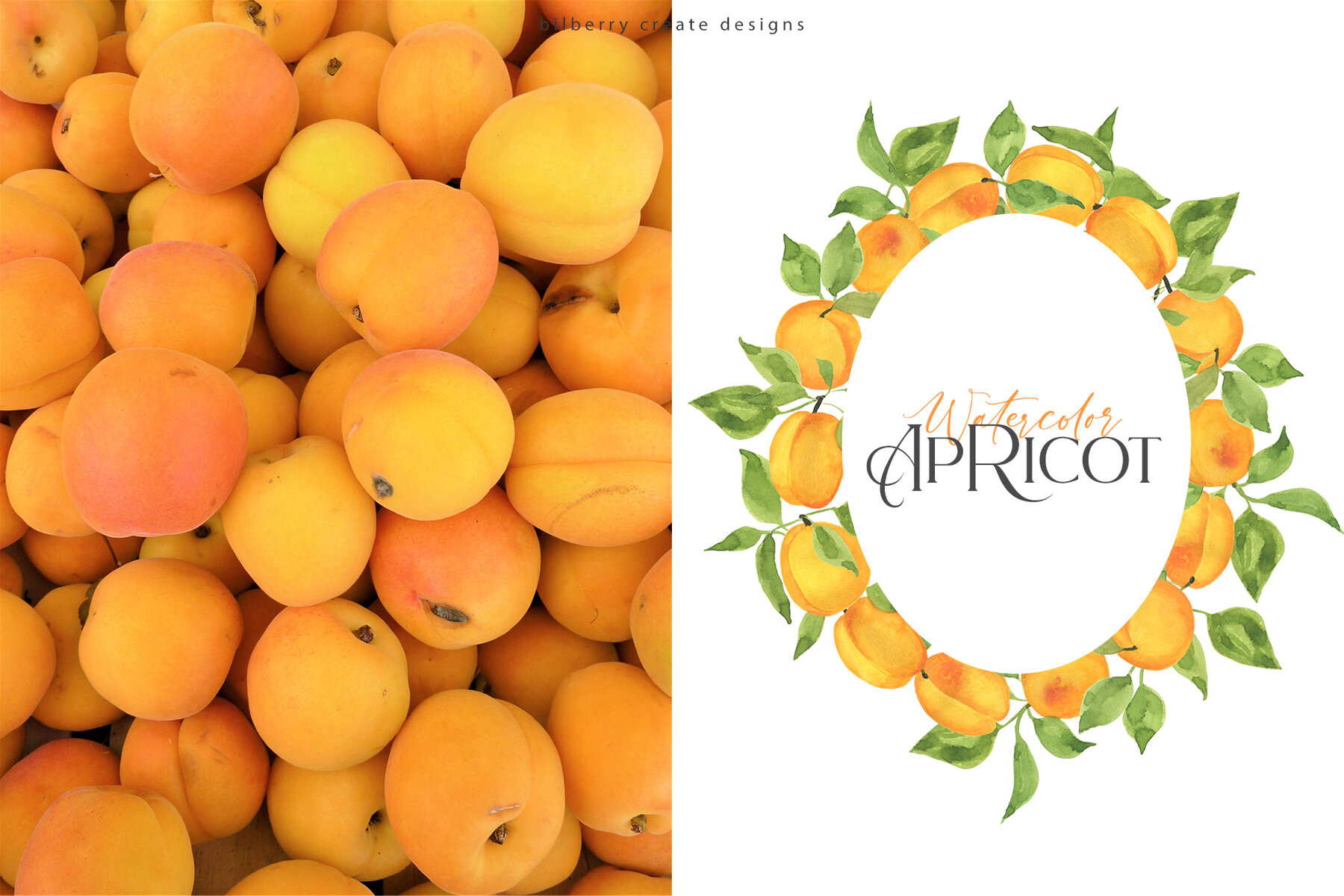 Watercolor Apricot Art Set 14