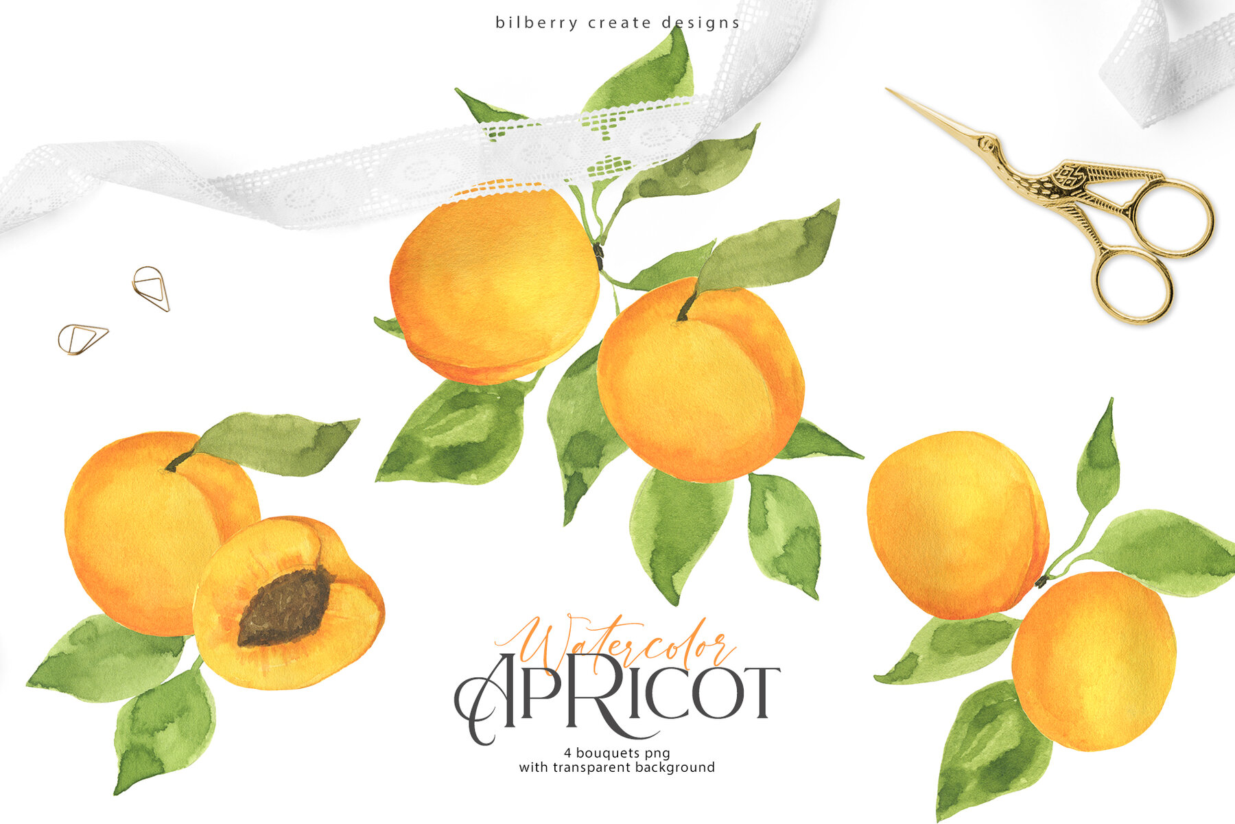 Watercolor Apricot Art Set 15