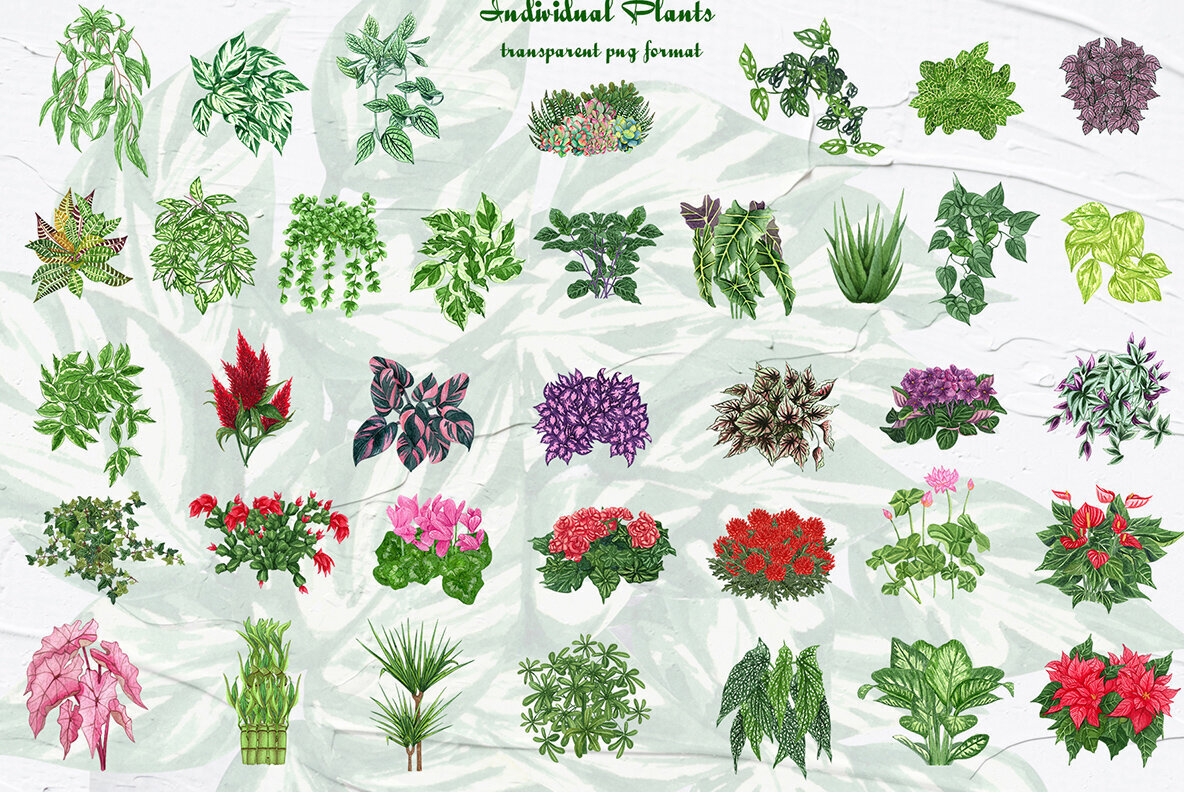 Plant Lovers Watercolor Collection 2