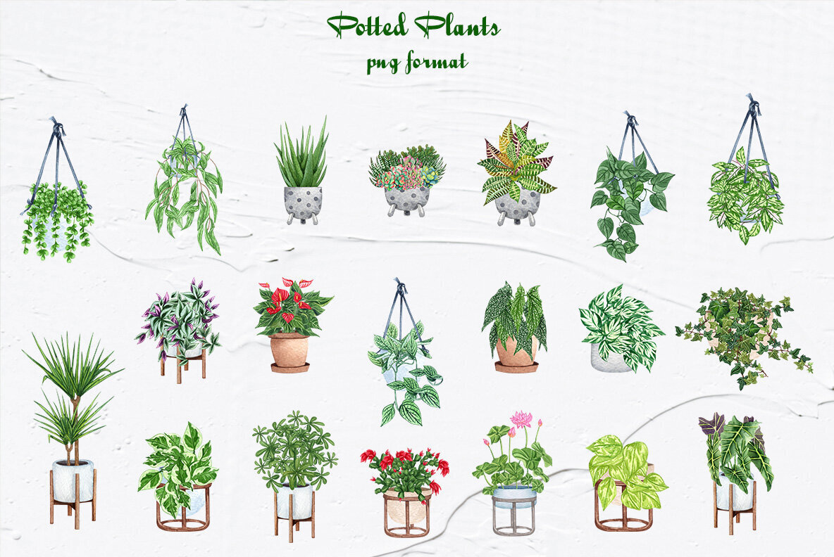 Plant Lovers Watercolor Collection 3