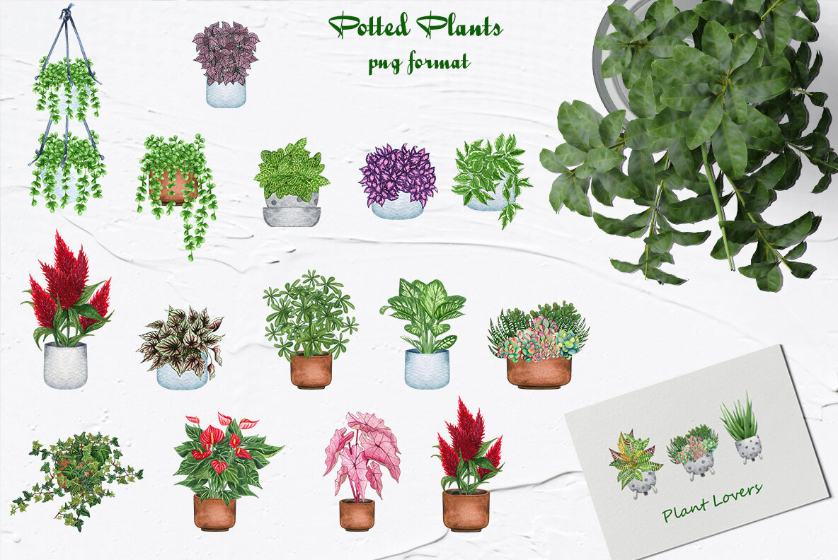 Plant Lovers Watercolor Collection 4