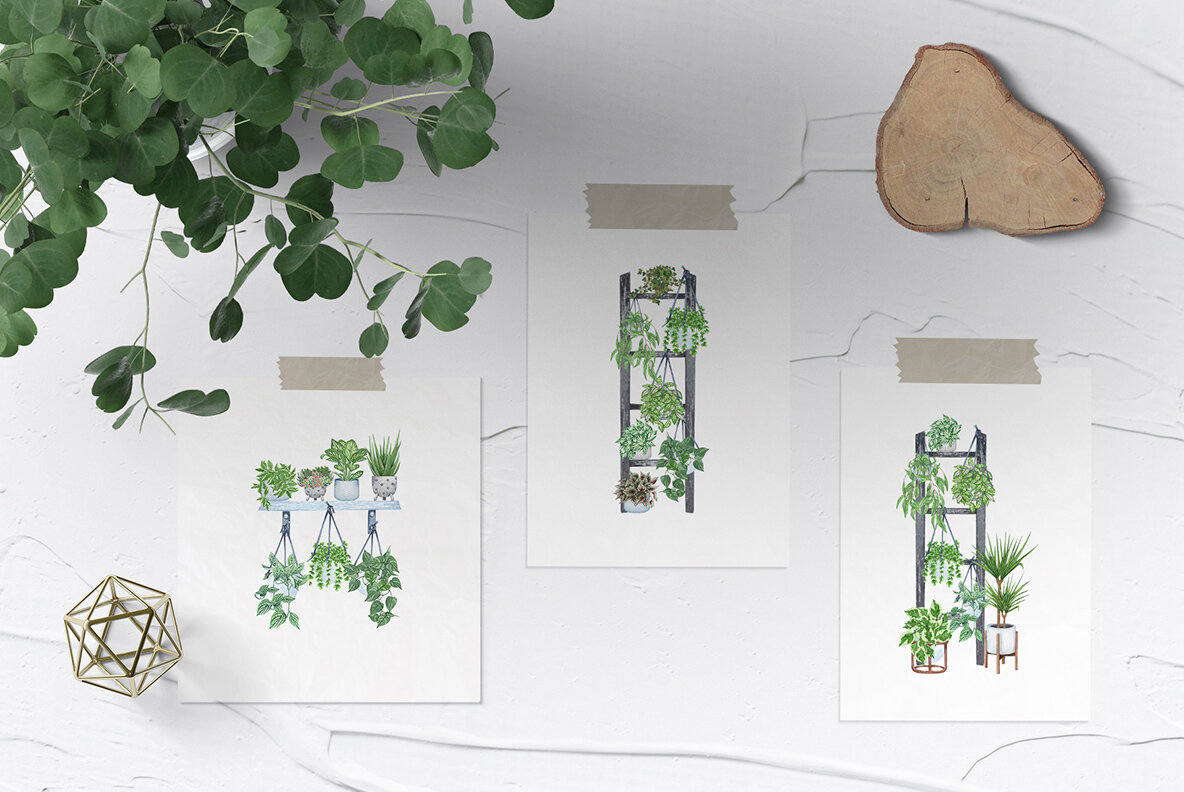 Plant Lovers Watercolor Collection 6