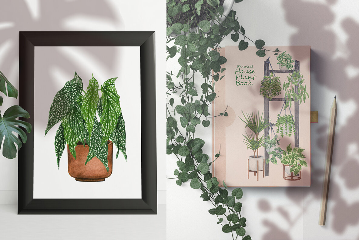 Plant Lovers Watercolor Collection 9