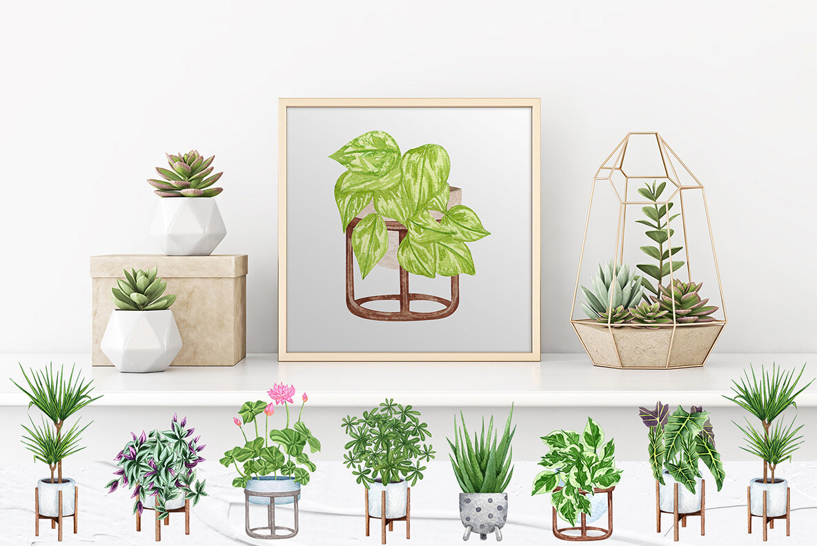 Plant Lovers Watercolor Collection 12