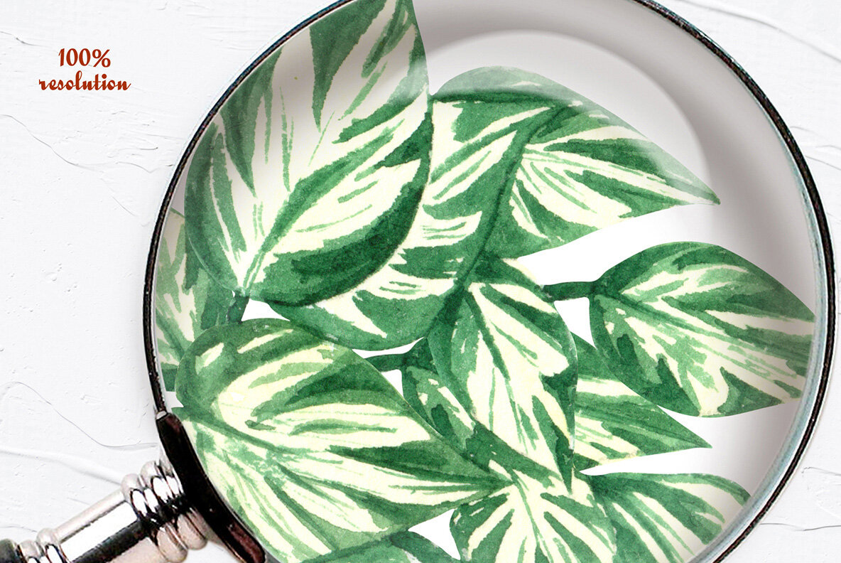 Plant Lovers Watercolor Collection 14