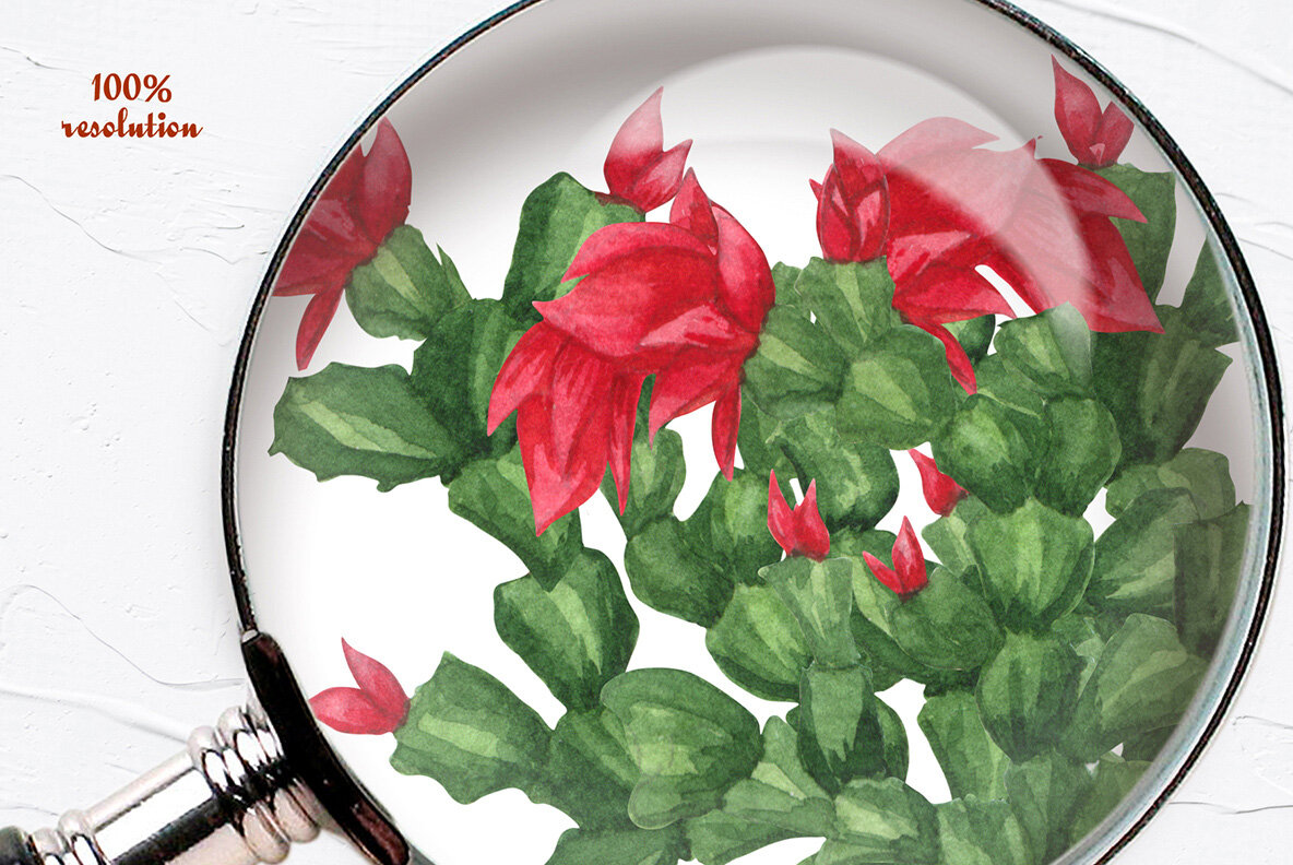 Plant Lovers Watercolor Collection 15