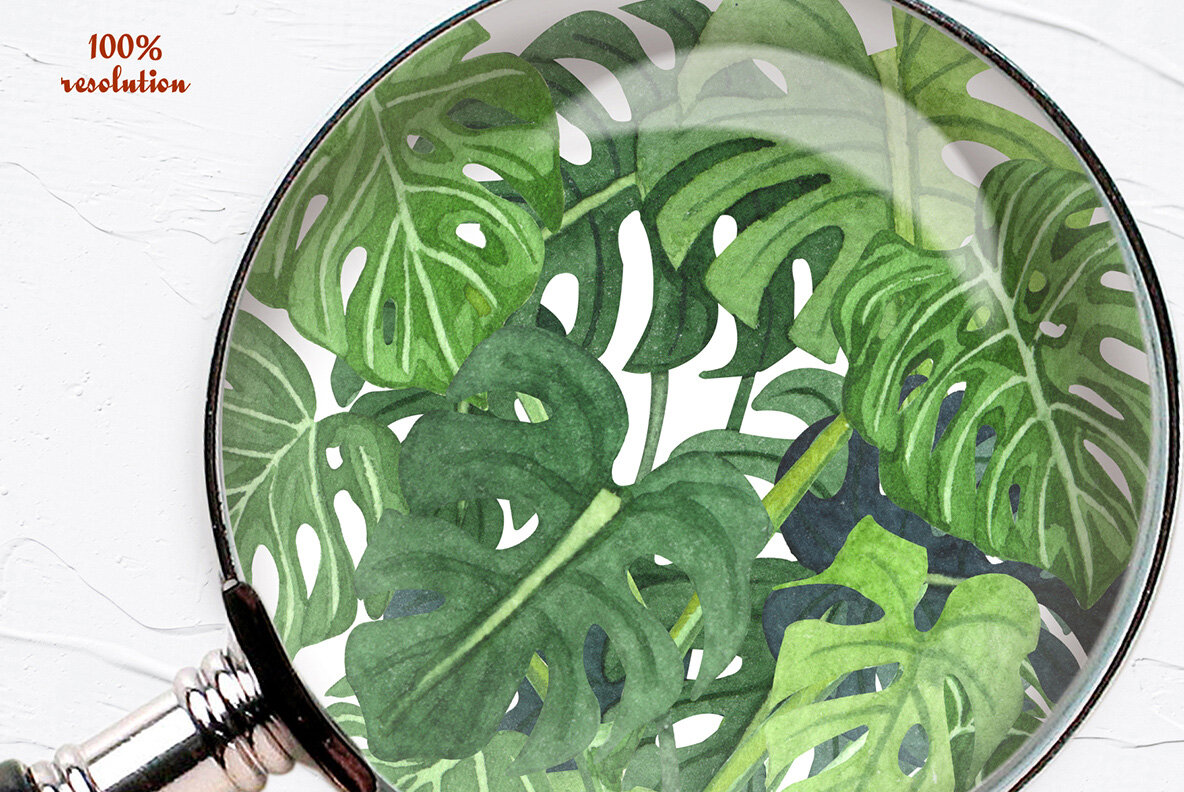 Plant Lovers Watercolor Collection 16