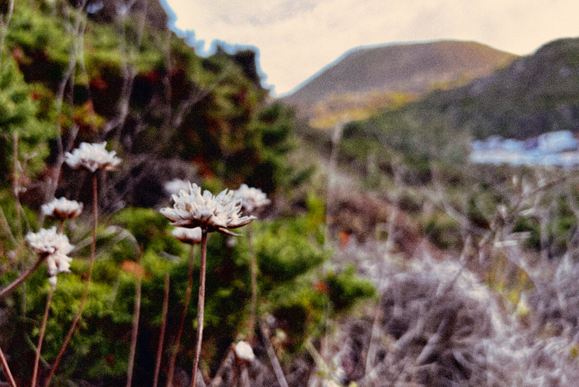 Retro Photo Effect 6