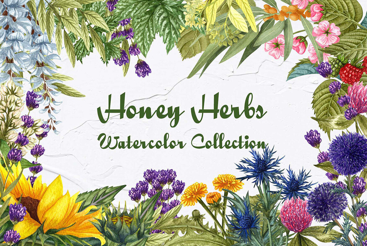 Honey Herbs Watercolor Set 1