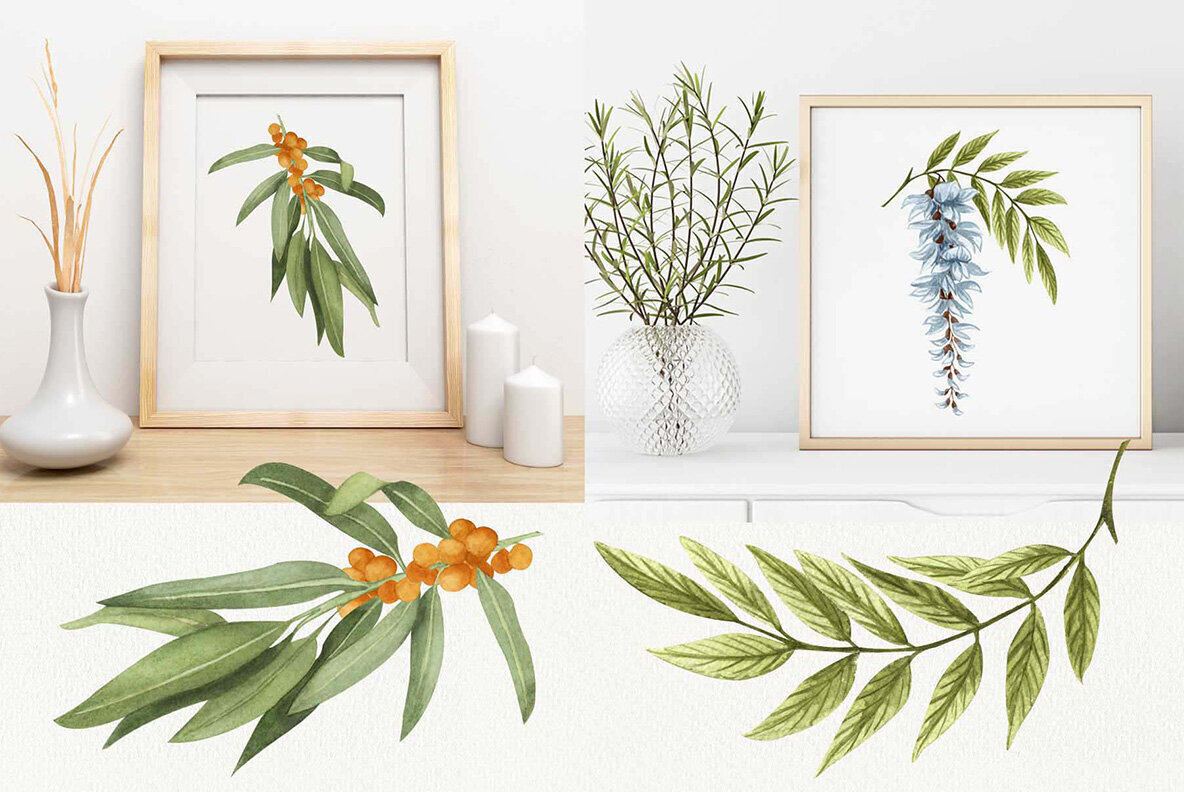 Honey Herbs Watercolor Set 2