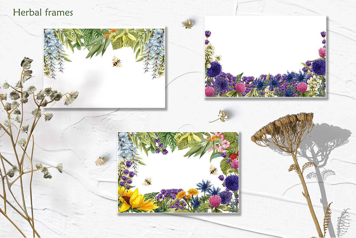 Honey Herbs Watercolor Set 5