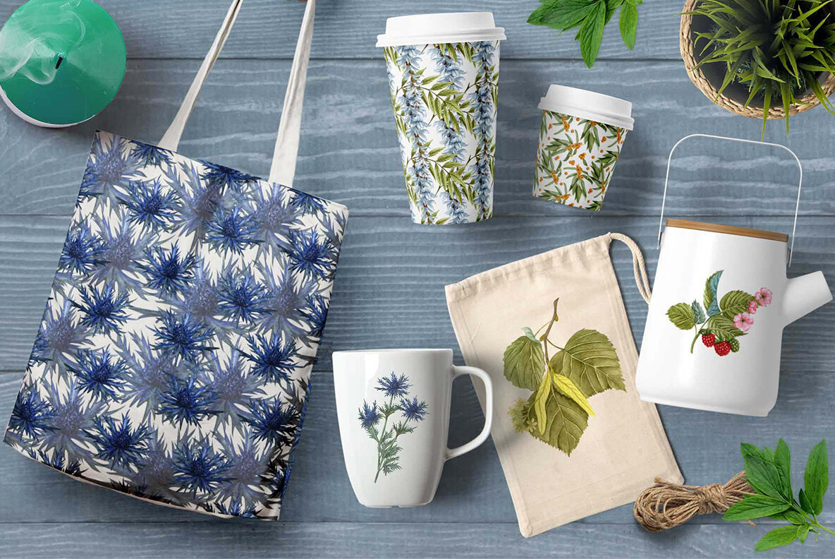 Honey Herbs Watercolor Set 6