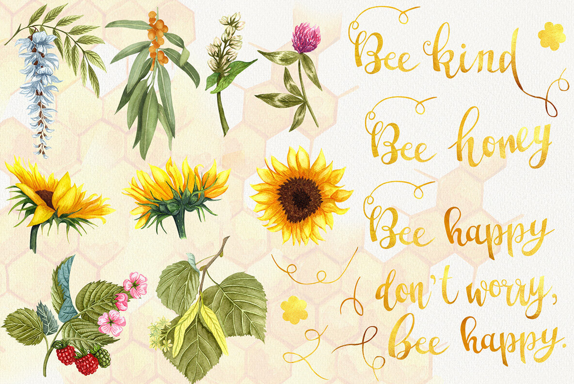 Honey Watercolor Set 3