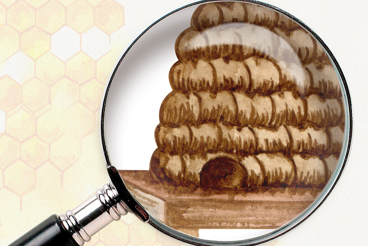 Honey Watercolor Set 12