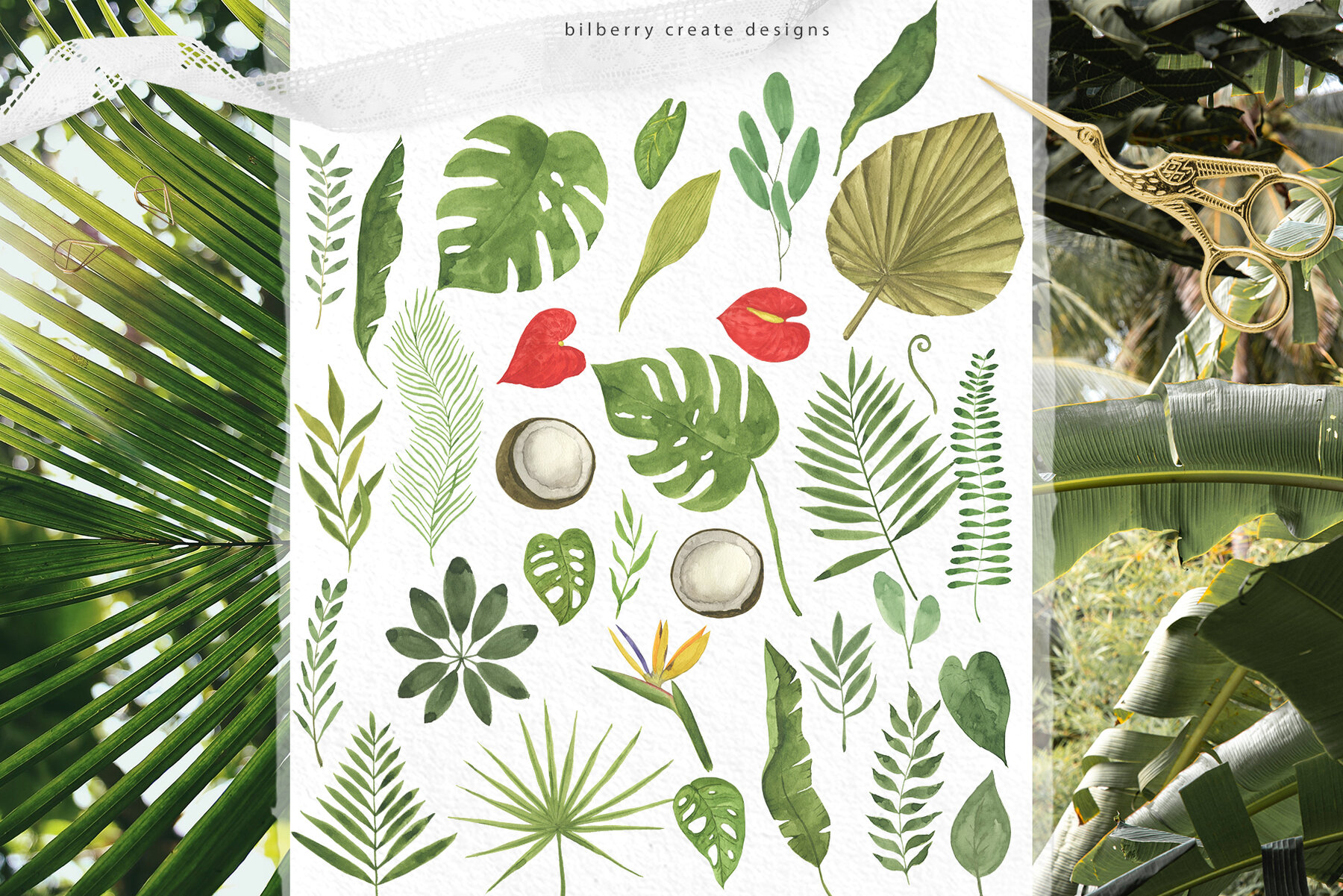 Watercolor Tropical Art Set 16