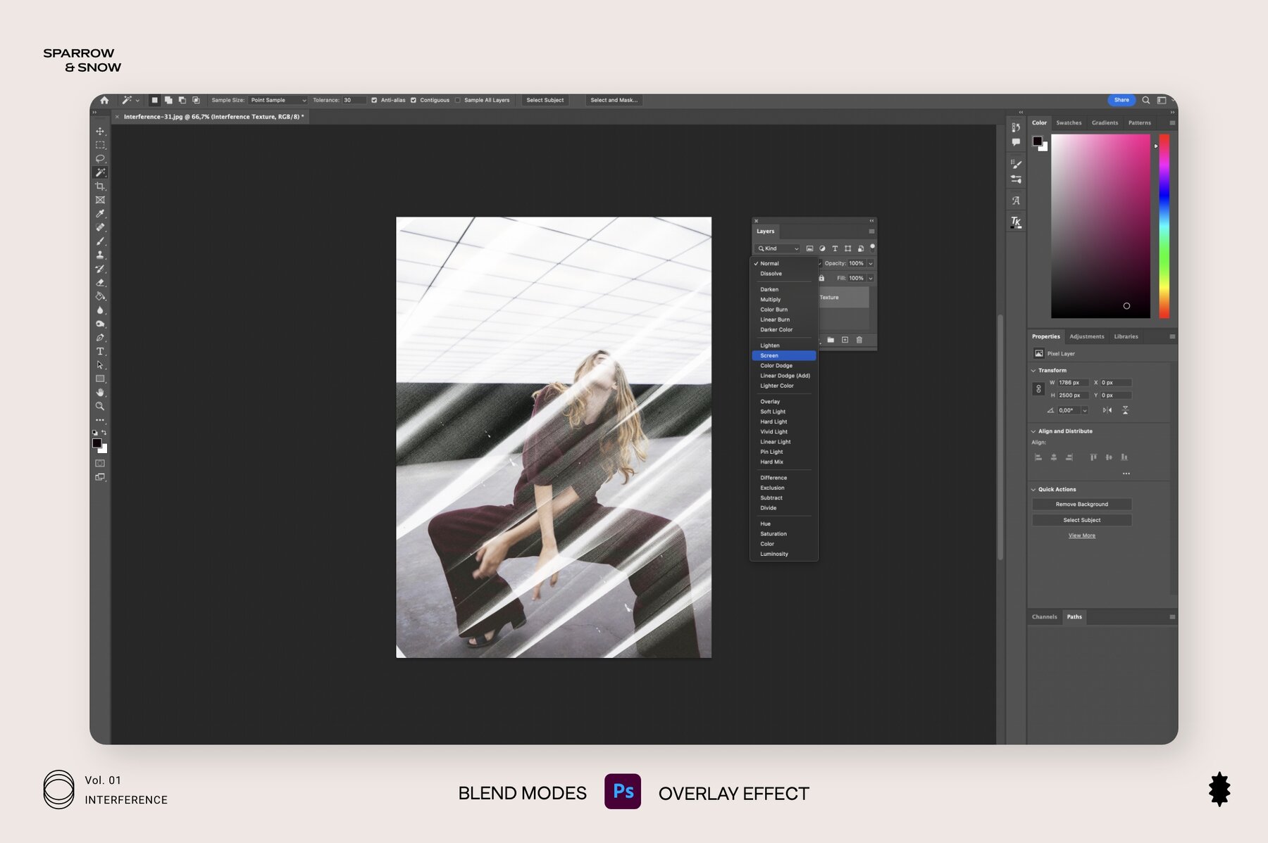 Interference  Hi Res Photocopy Scan 10