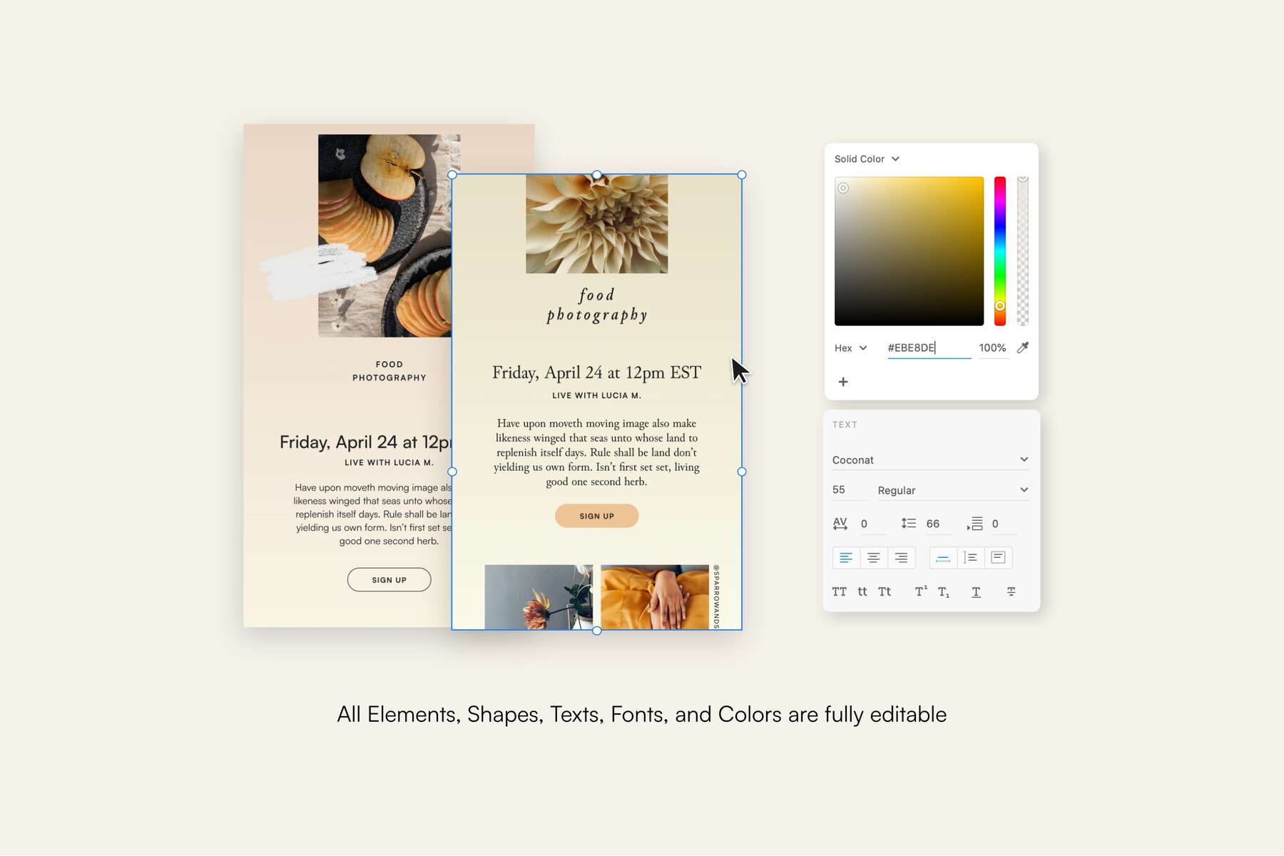 Thyme Newsletter Templates   Canva 13