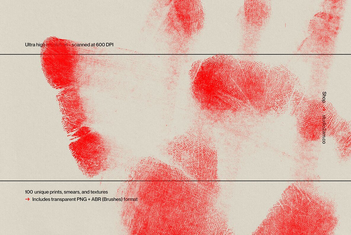 Fingerprint 4