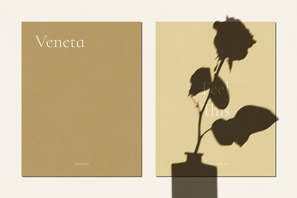 Veneta Shadow Mockup Scene Creator 3