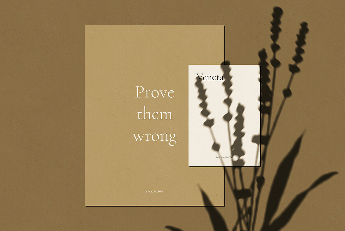 Veneta Shadow Mockup Scene Creator 4