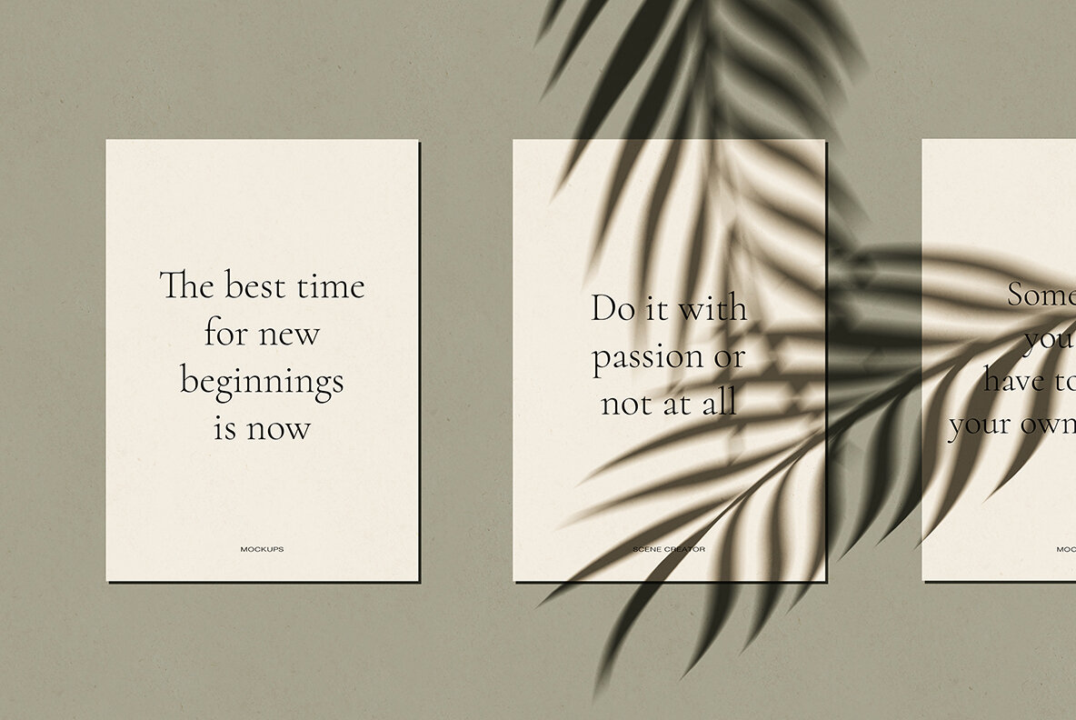 Veneta Shadow Mockup Scene Creator 9