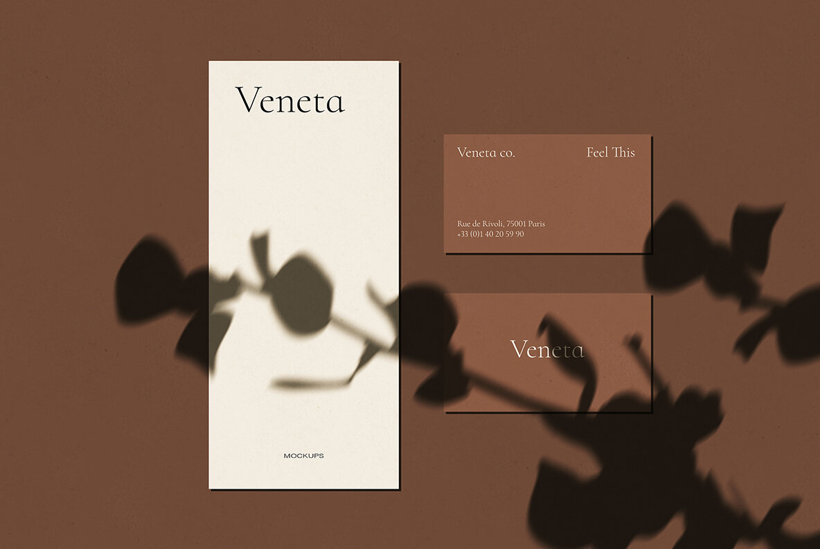 Veneta Shadow Mockup Scene Creator 12
