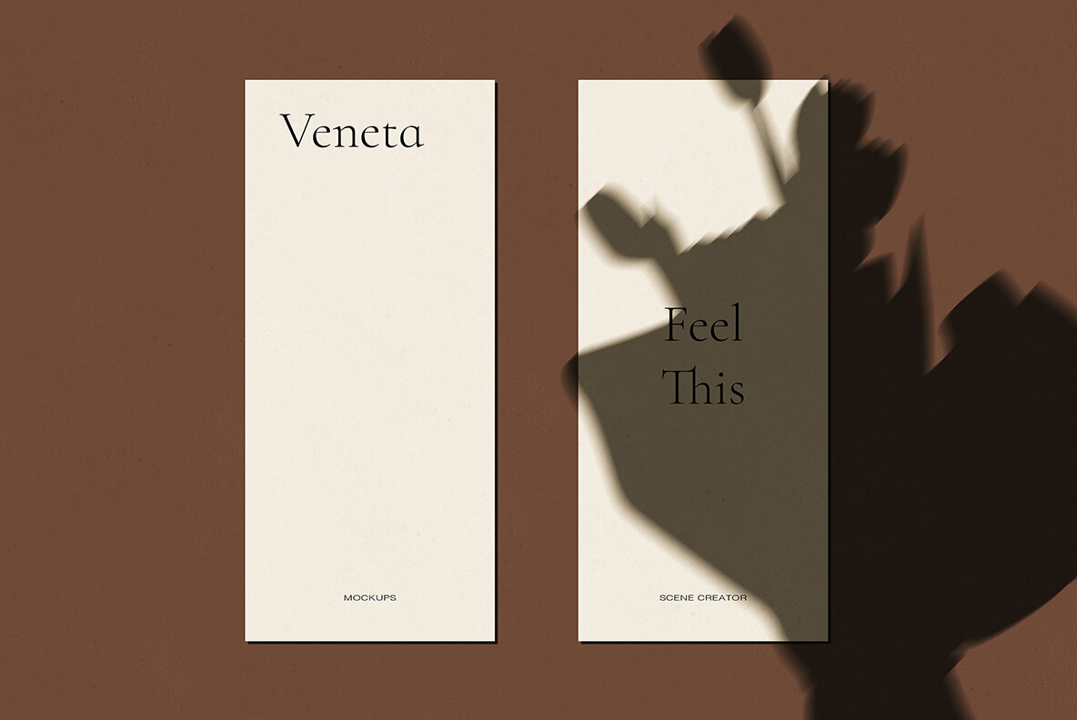 Veneta Shadow Mockup Scene Creator 13