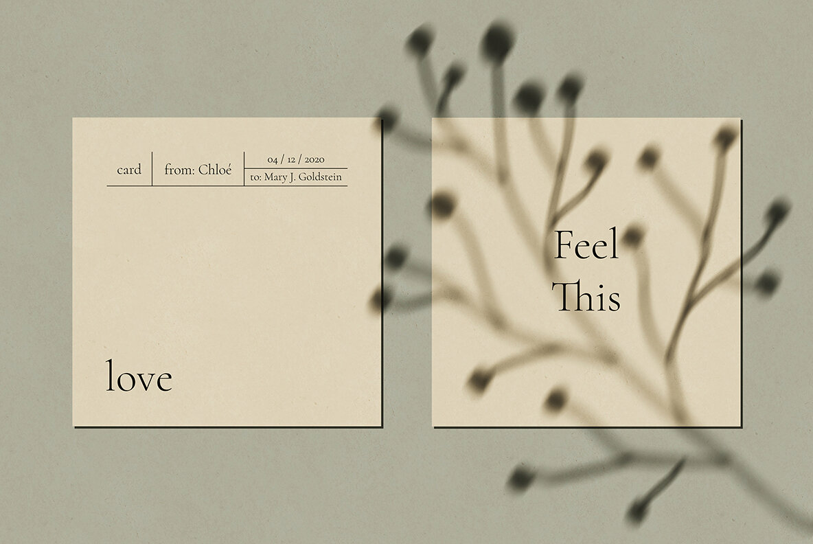 Veneta Shadow Mockup Scene Creator 14