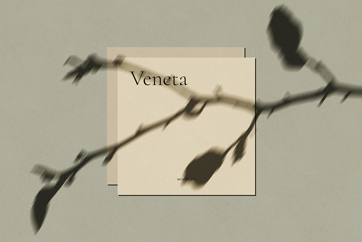 Veneta Shadow Mockup Scene Creator 15