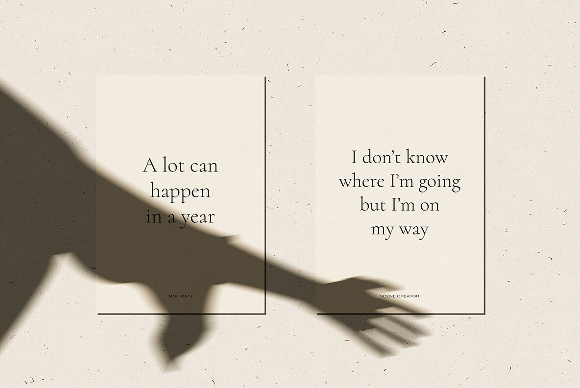 Veneta Shadow Mockup Scene Creator 16