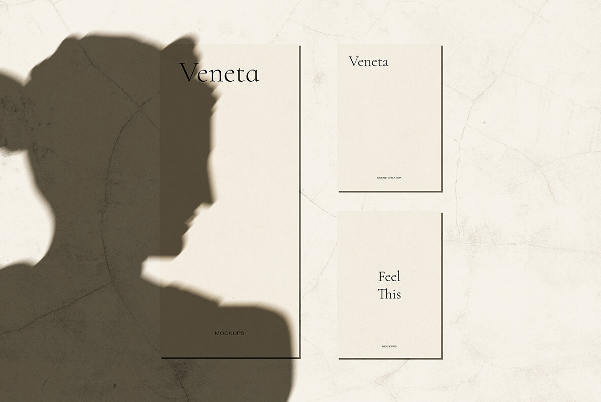 Veneta Shadow Mockup Scene Creator 18