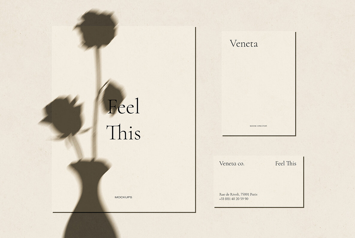 Veneta Shadow Mockup Scene Creator 19