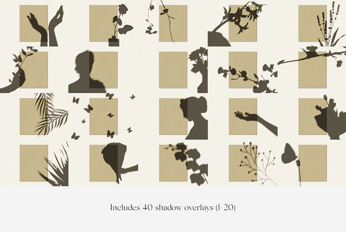 Veneta Shadow Mockup Scene Creator 22
