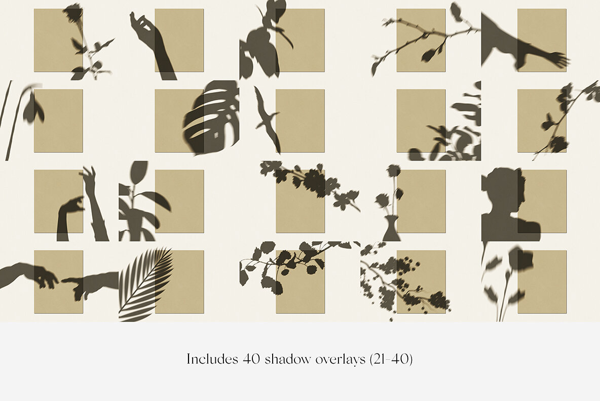 Veneta Shadow Mockup Scene Creator 23