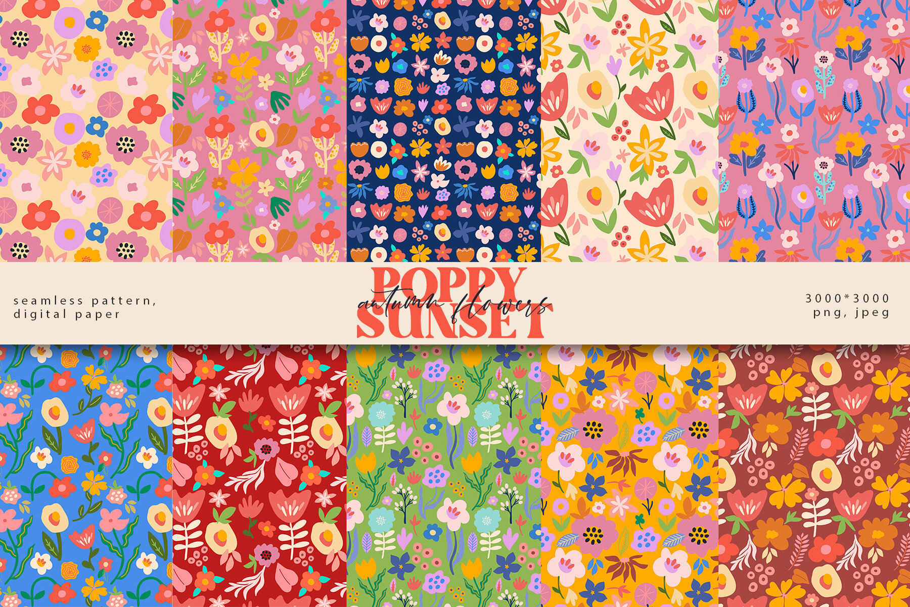 Poppy Sunset Autumn Flowers 6