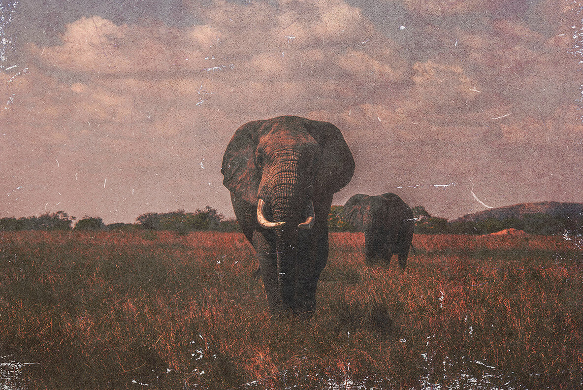 Vintage Book Photo Effect 2