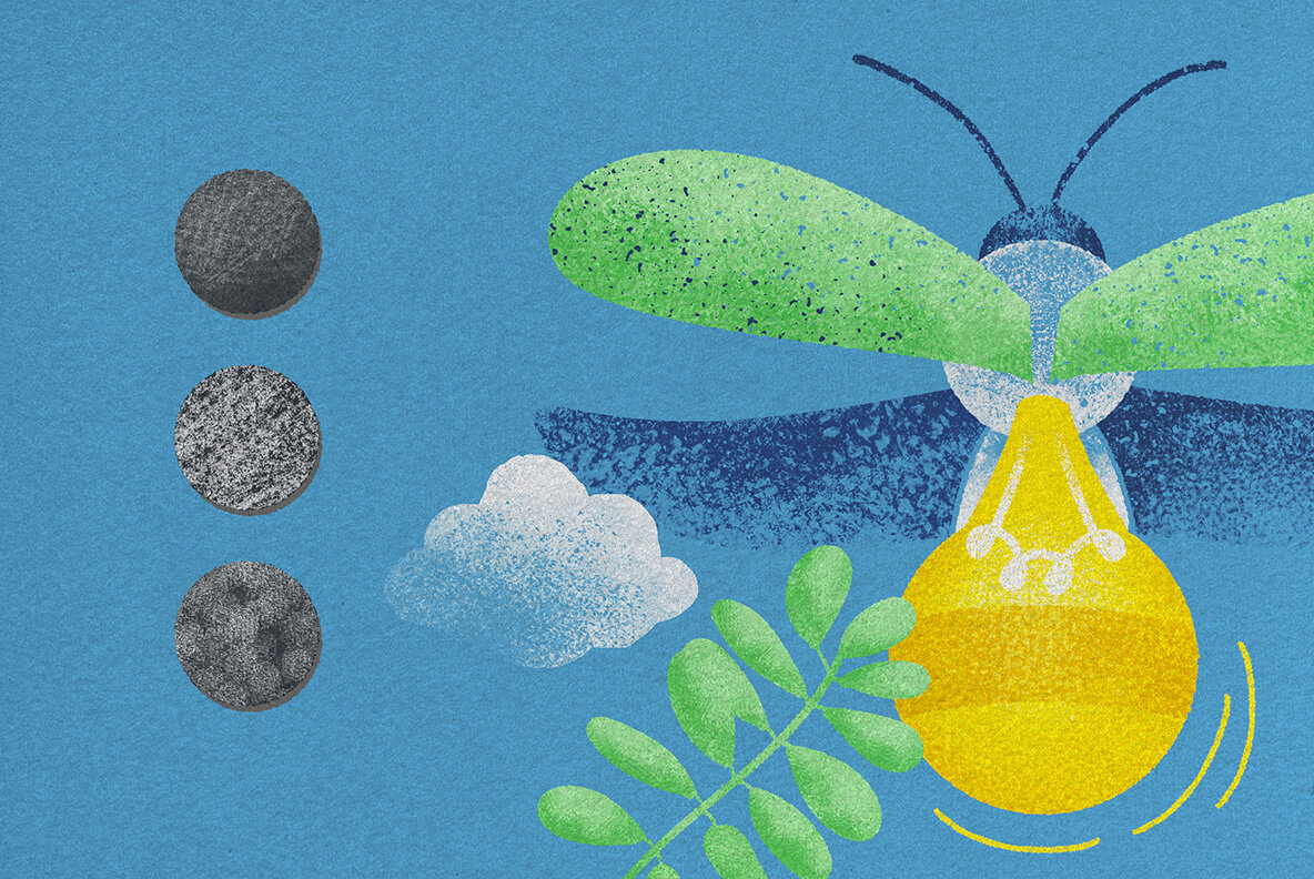 Tinge Texture Affinity Brushes 7