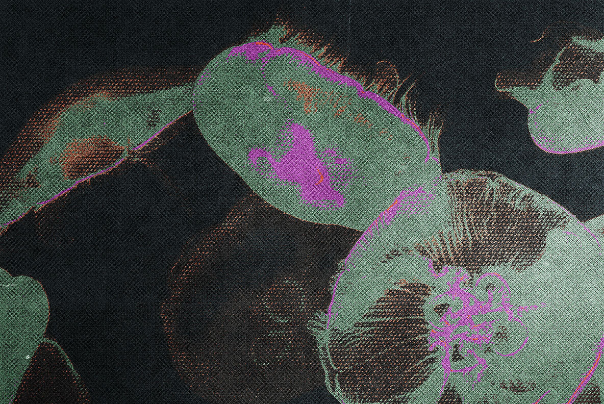 Neon Cotton Photo Effect 6