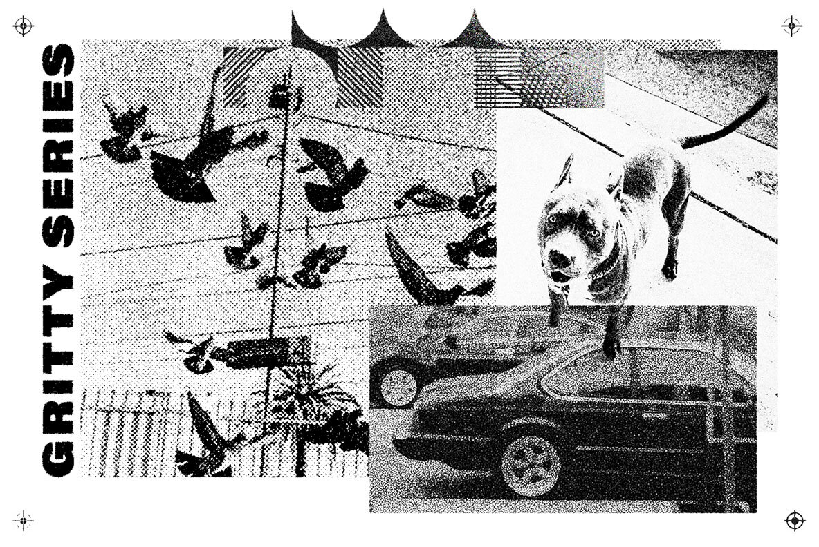 Grain Joint Effect Action 6