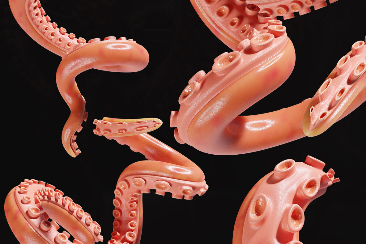 Octopus Renders 2