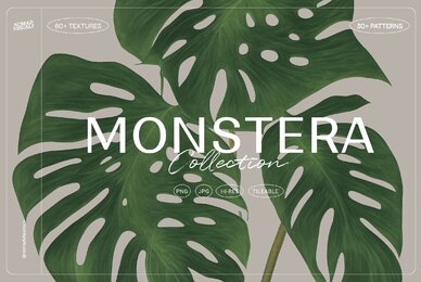 Monstera Tropical Collection