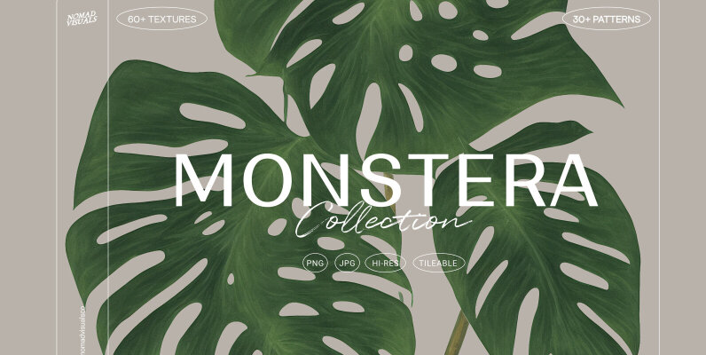 Monstera Tropical Collection