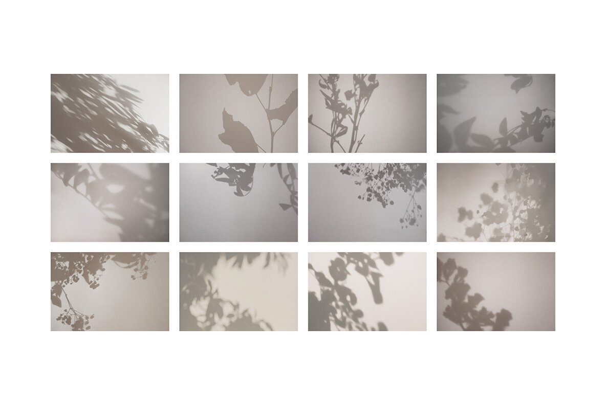 Shadow Photo Overlays Part 5 3