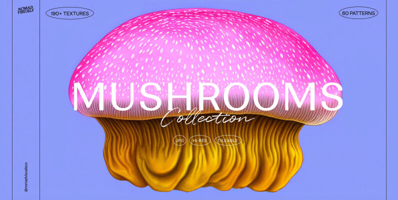Mushrooms Illustrations