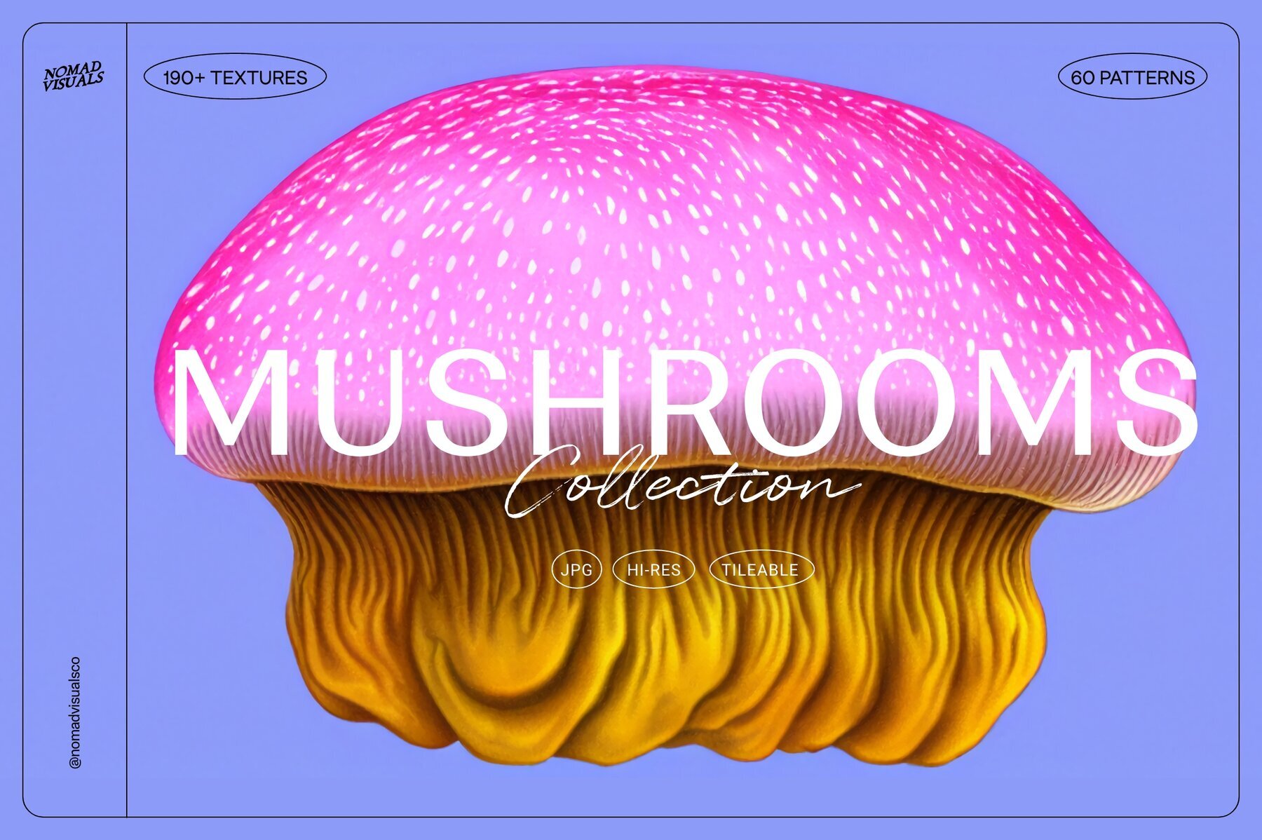 Mushrooms Illustrations 1